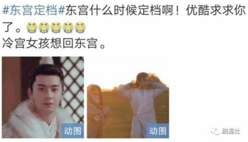 2019娱乐圈梗,笑料百出，梗王争霸