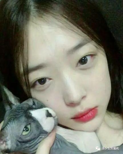 崔雪莉网红整容,从素颜到整容，揭秘网红蜕变历程”